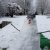 Bilder 2025 - Wettbewerb Schneemann